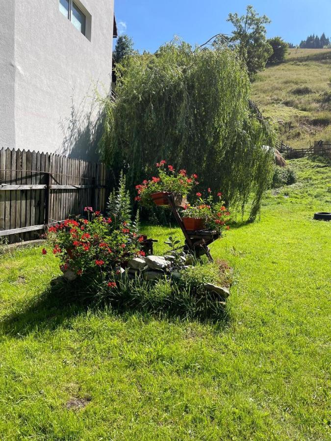 Casa Anastasia - Moieciu De Sus Moeciu De Sus Esterno foto